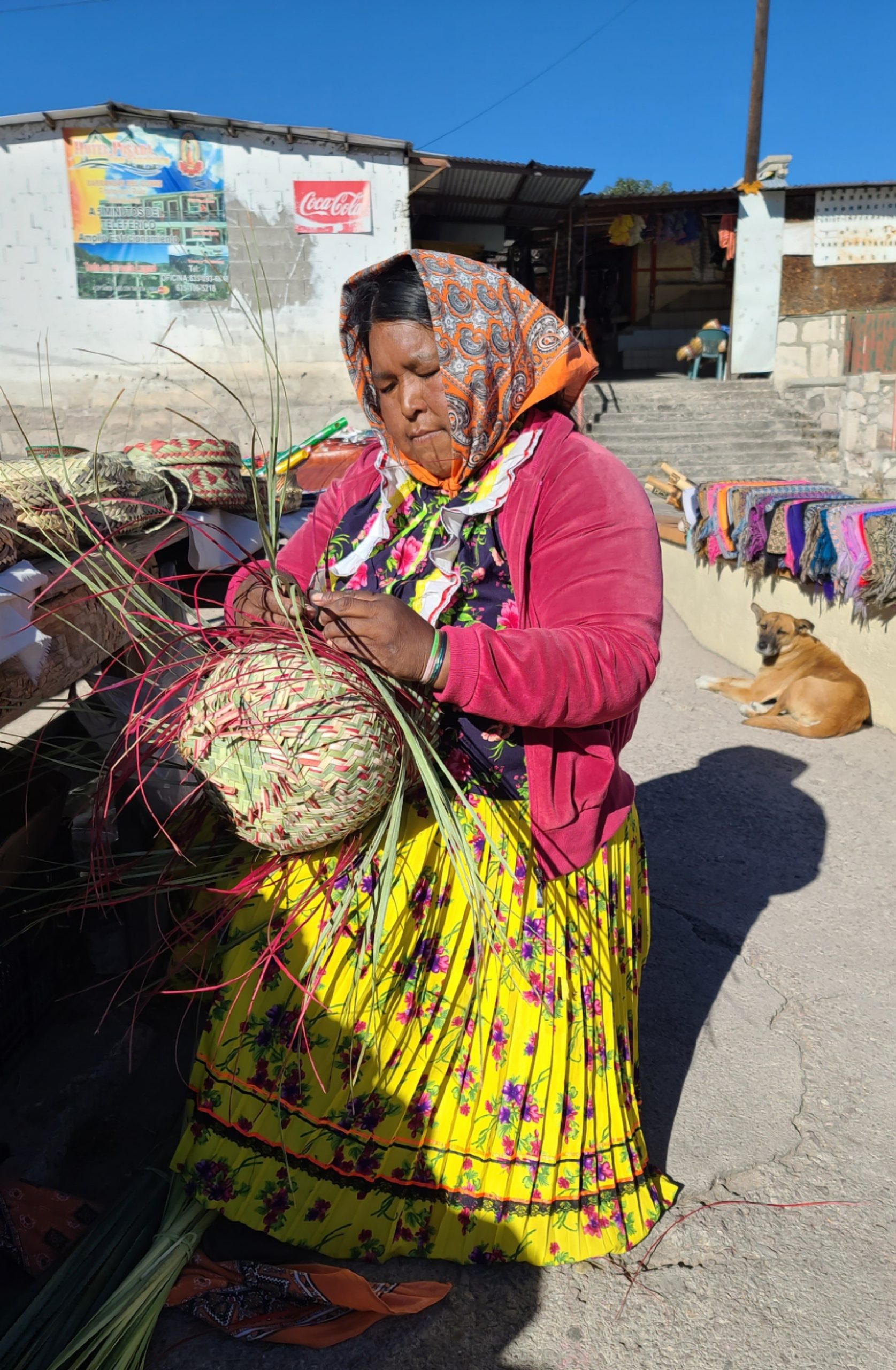 Copper_Canyon_Basket_Weaving